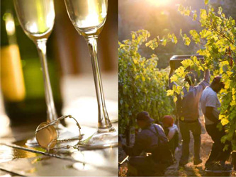 sparkling-wine-and-harvest-photos